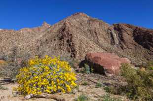 Anza Borrego-2138.jpg